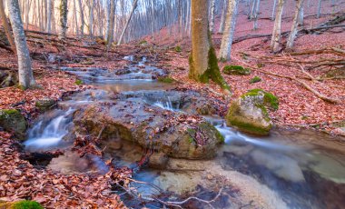 Sonbahar dağ kanyonunda akan küçük nehir kuru yaprakları kapladı.