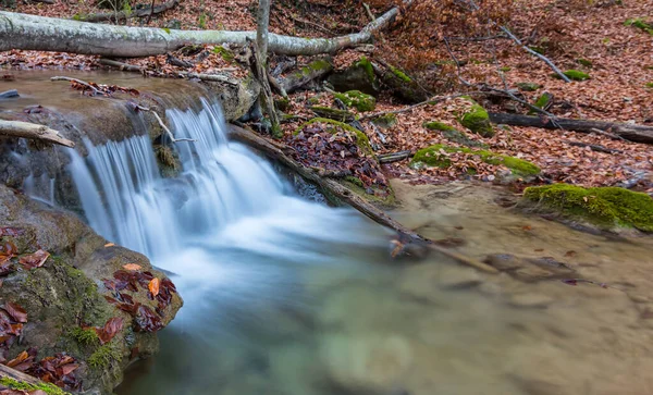 小さな川が秋の山の峡谷を駆け抜け乾燥した葉を覆い — ストック写真