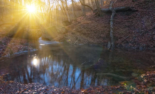 Kleine Beek Stroomt Een Bergen Een Licht Van Zon Herfst — Stockfoto