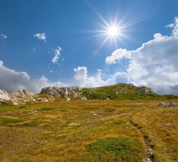 Bergrücken Mit Gras Unter Glitzernder Sonne — Stockfoto