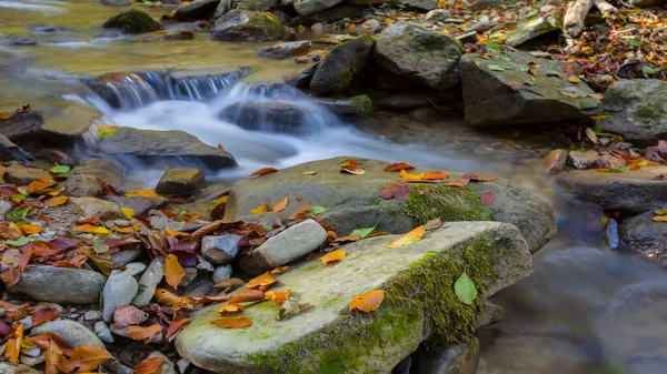 Closeup Small River Rushing Autumn Mountain Canyon Covered Dry Leaves — Stock Photo, Image