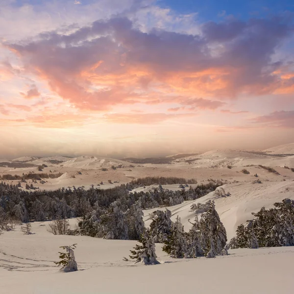 Planície Inverno Com Floresta Uma Neve Pôr Sol — Fotografia de Stock