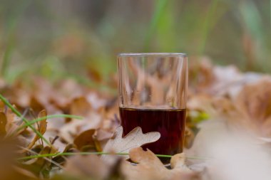 Kapalı şarap kadehi ormanda kuru yaprakların arasında kalır, doğal içecek sahnesi.