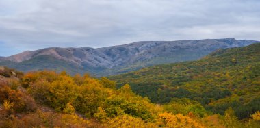 Kızıl sonbahar ormanı olan dağ vadisi