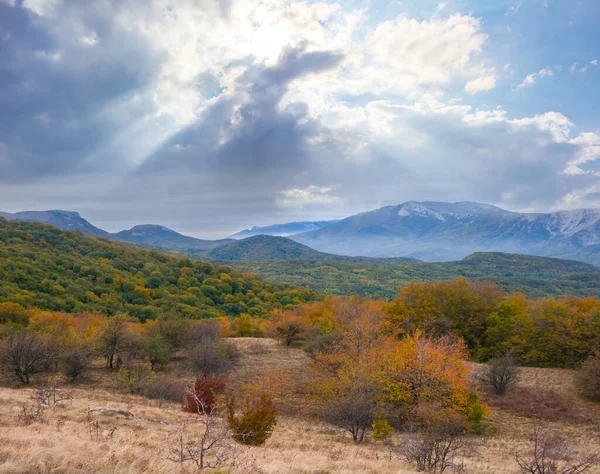 Vallée Montagne Avec Forêt Automne Rouge Sous Soleil Scintillant — Photo