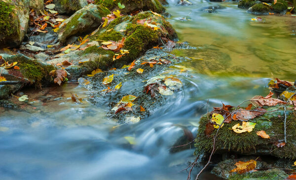 Маленькая река, бегущая по осеннему горному каньону, покрывала сухие листья