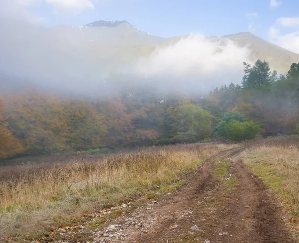 Valle Montaña Una Densa Nube Fondo Viaje —  Fotos de Stock