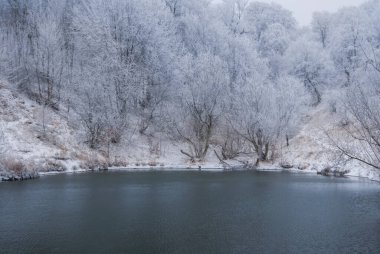 Küçük bir zümrüt göl kıyısında kar büyüyen kış ormanı, kış doğal arka plan