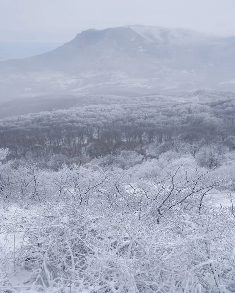 Winter Gebirgstal Schnee Und Nebel — Stockfoto