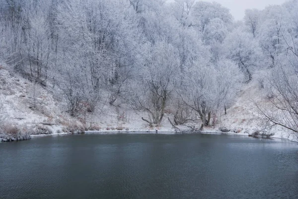 Bosque Invierno Crecimiento Nieve Una Pequeña Costa Lago Esmeralda Fondo — Foto de Stock