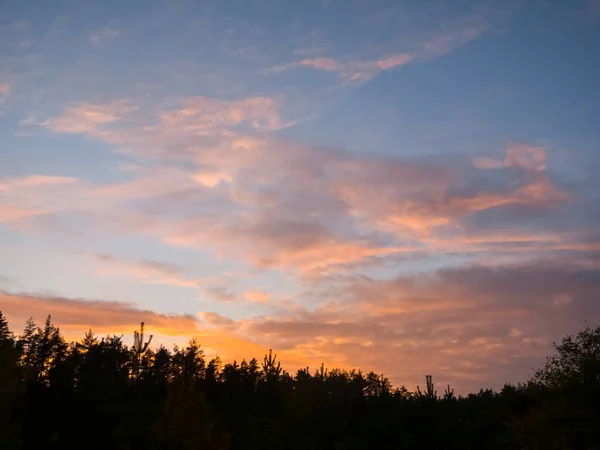 Вечернее Облачное Небо Над Лесным Силуэтом Естественный Вечерний Фон — стоковое фото