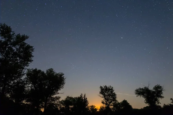 Cielo Estrellado Noche Sobre Una Silueta Del Bosque Fondo Aire —  Fotos de Stock