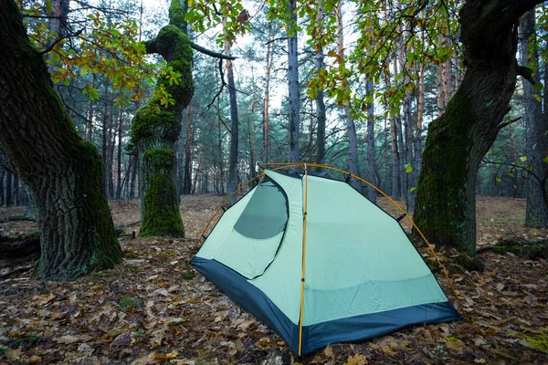 Touristisches Zelt Wald Outdoor Reiseszene — Stockfoto