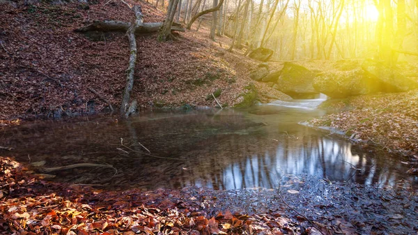 Kleiner Teich Einem Gebirgsfluss Licht Der Sonne — Stockfoto