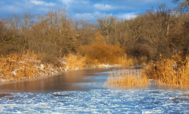 frozen river with forest on a coast, winter outdoor scene