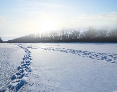 winter forest glade covered by a snow with human track at the sunset