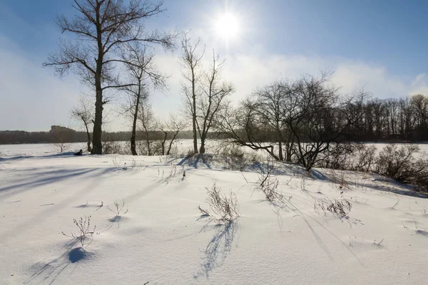 Χειμερινό Δάσος Καλυμμένο Από Χιόνι Την Ηλιόλουστη Μέρα — Φωτογραφία Αρχείου