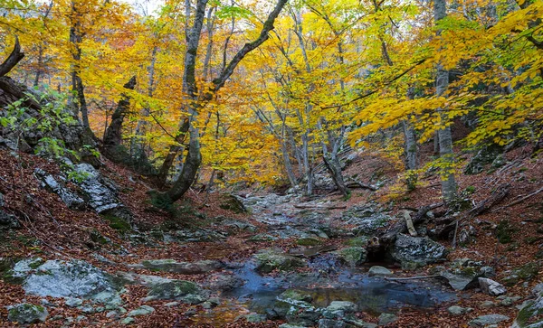 Pequeño Arroyo Cañón Montaña Escena Natural Otoño — Foto de Stock