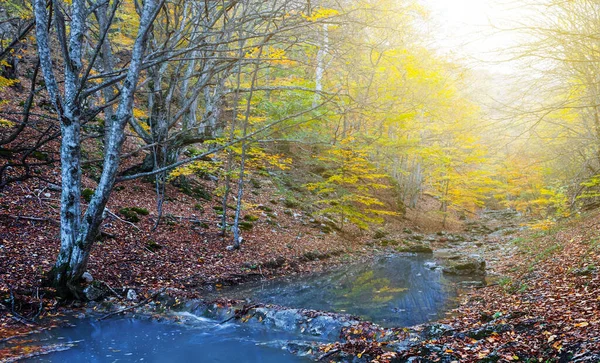 高山峡谷中的小河 秋天的自然景观 — 图库照片