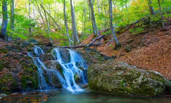 Petite Cascade Sur Rivière Montagne Automne — Photo