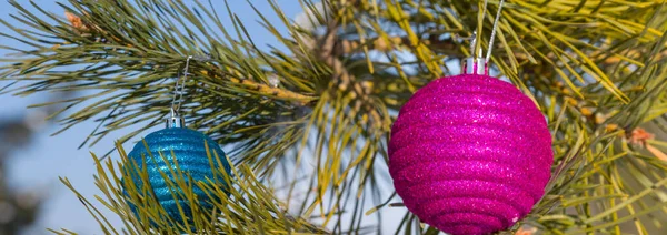 Weihnachten Silvesterspielzeug Auf Einem Tannenzweig Winterurlaub Hintergrund — Stockfoto