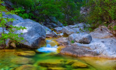 Dağ kanyonundaki taşların üzerinden akan küçük bir nehir.