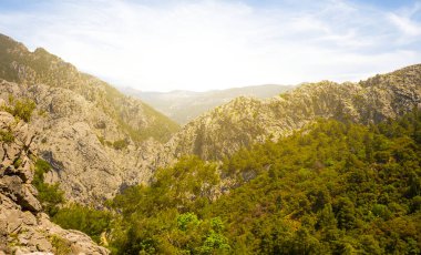 Sabah güneşinin ışığında dağ vadisi