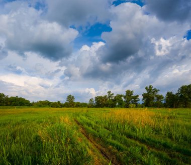 Toprak yolu, yoğun bulutlu gökyüzünün altındaki yeşil tarlaların arasında.