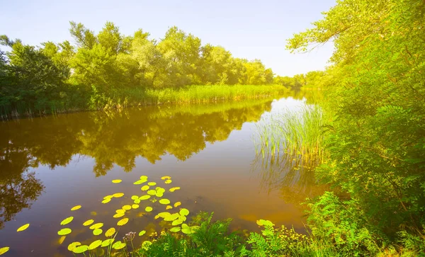 Sommer Fluss Licht Der Sonne Natürlicher Hintergrund — Stockfoto