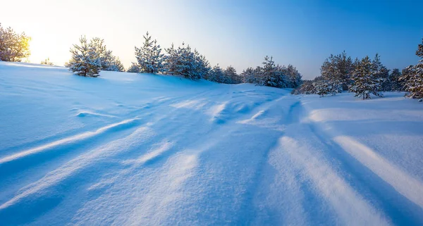 Amplio Claro Bosque Cubierto Nieve Atardecer Fondo Aire Libre Invierno —  Fotos de Stock