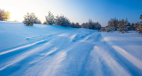 Breite Schneebedeckte Waldlichtung Bei Sonnenuntergang Winter Freien Hintergrund — Stockfoto