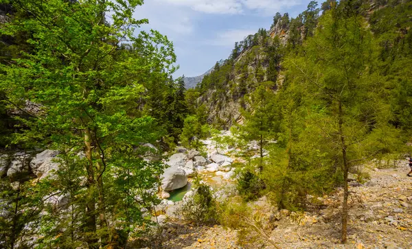 Blick Auf Einen Fluss Einer Gebirgsschlucht — Stockfoto