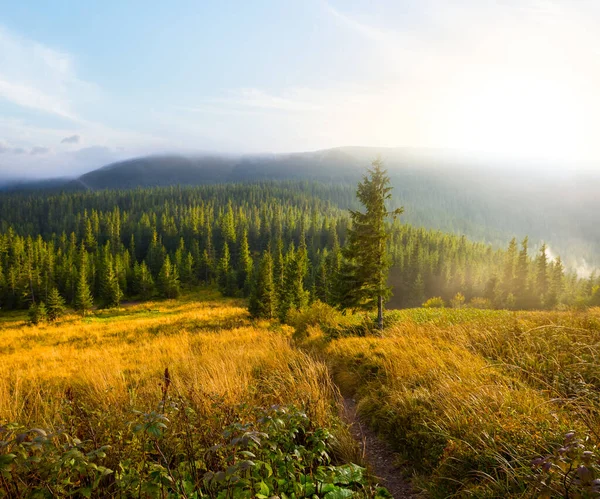 Valle Montagna Con Prato Tramonto — Foto Stock