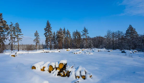冬の森のグレードショーで覆われた木の幹のヒープと — ストック写真
