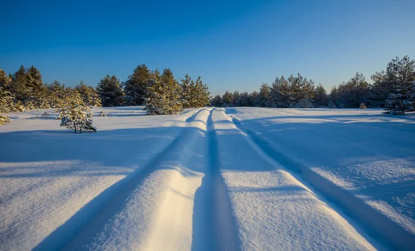 rural road through the winter snowbound plain