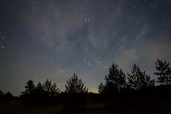 Costellazione Orione Cielo Notturno Sopra Silhouette Foresta Sfondo Esterno Notte — Foto Stock