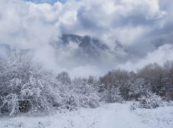 Invierno Montaña Valle Una Densa Nubes Niebla Invierno Viaje Fondo — Foto de Stock