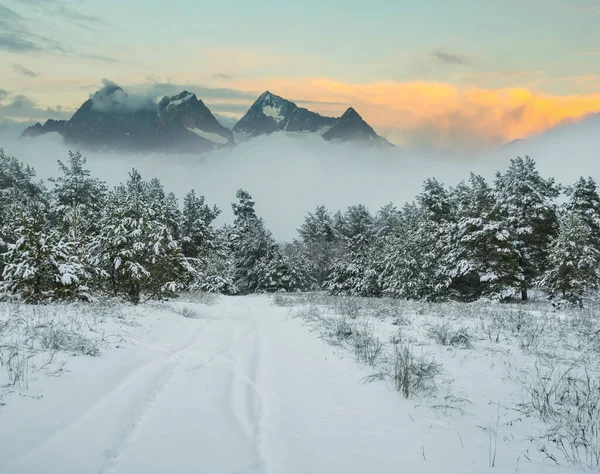 Zimowa Dolina Górska Gęstych Chmurach Mgle Zimowe Tło Podróży — Zdjęcie stockowe