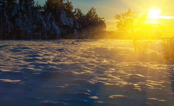 Inverno Neve Floresta Glade Com Pôr Sol — Fotografia de Stock