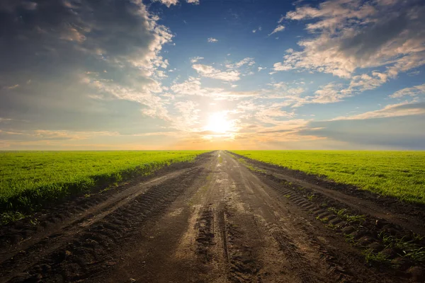Βρώμικο Έδαφος Δρόμο Ανάμεσα Μια Καταπράσινη Αγροτικές Περιοχές Στο Ηλιοβασίλεμα — Φωτογραφία Αρχείου
