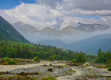 Nehir sisli dağ vadisinde akıyor. 