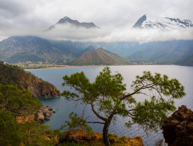 Yoğun bir siste kayalık kıyıları olan deniz körfezi