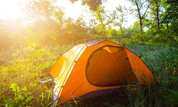 Kapalı turuncu turistik çadır Ormanın ortasında akşam güneşinin altında