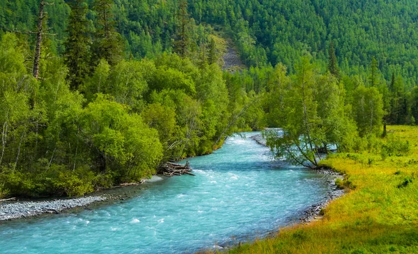 Rivière Émeraude Avec Côte Pierreuse Avec Forêt Pins — Photo