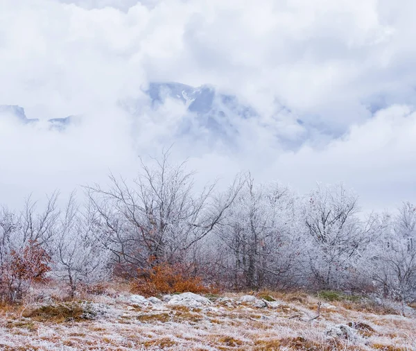 Inverno Planalto Montanha Nevado Com Árvore Sozinho Sob Denso Céu — Fotografia de Stock