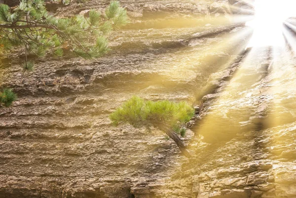 Soleil Pousser Travers Trou Dans Une Monture Fond Naturel Extérieur — Photo