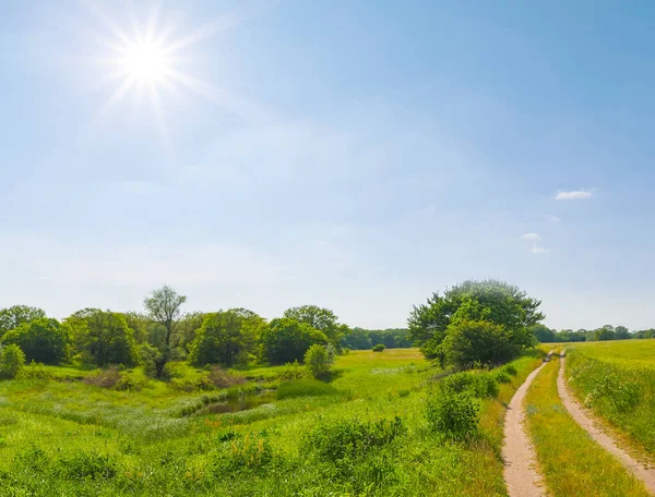 美丽的夏天草原风景 地面道路在灿烂的阳光下 — 图库照片