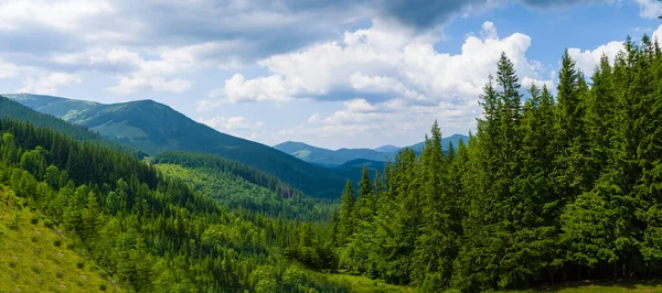 Schönes Grünes Gebirgstal Sommertag — Stockfoto