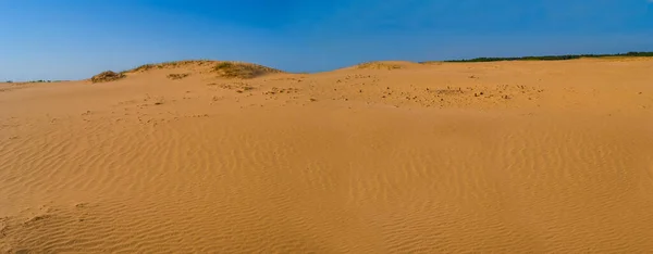 Amplo Deserto Arenoso Quente Com Dunas Sob Céu Azul — Fotografia de Stock