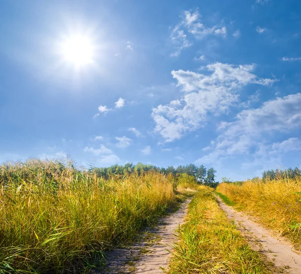 Yazın Yeşil Çayırda Toprak Yolda Güneşli Yaz Gününde — Stok fotoğraf